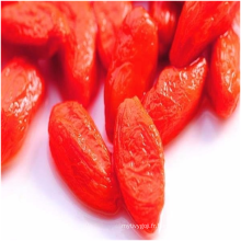 Baies de Goji séchées/Exportation de baies de Goji biologiques/ Fruits de Goji en vrac